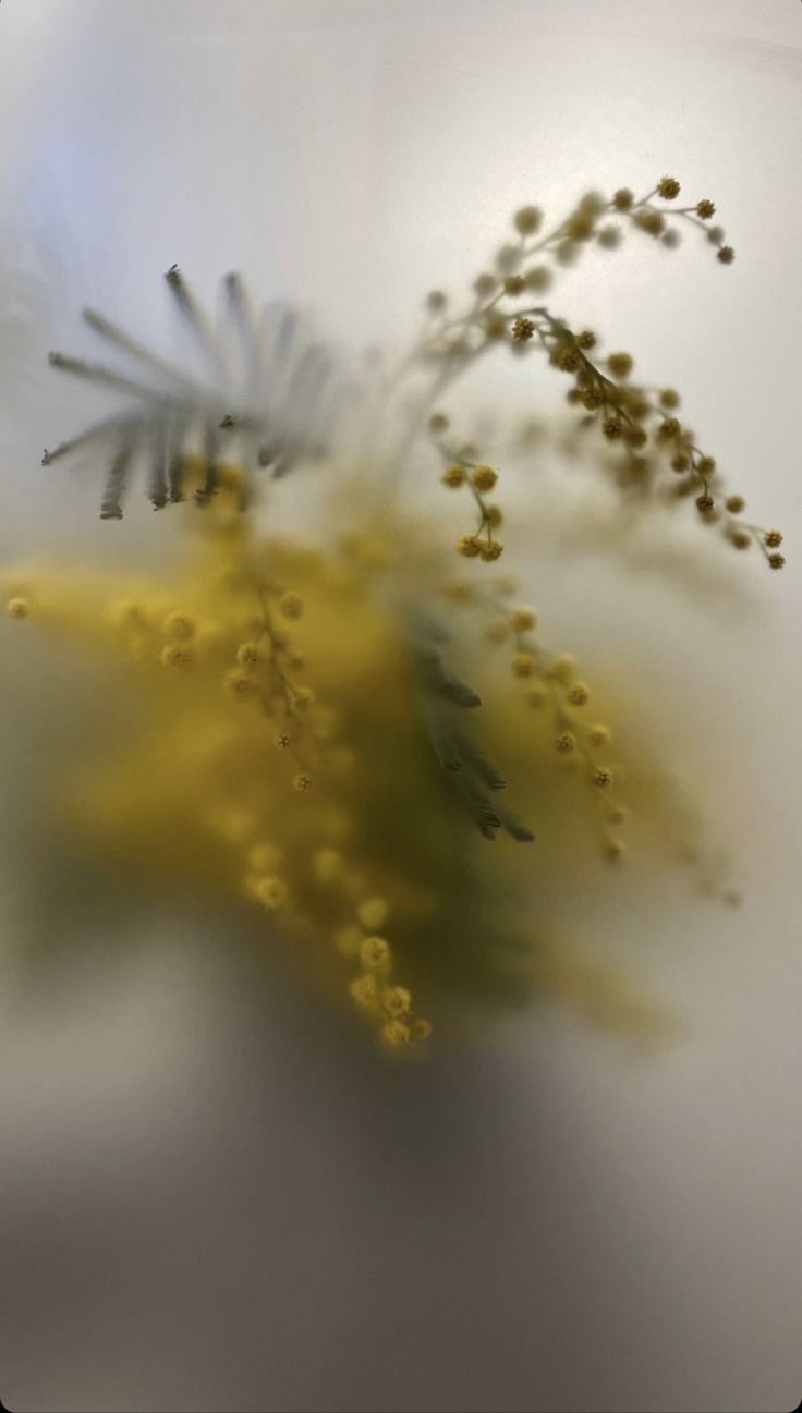 Muted floral bouquet on pale background